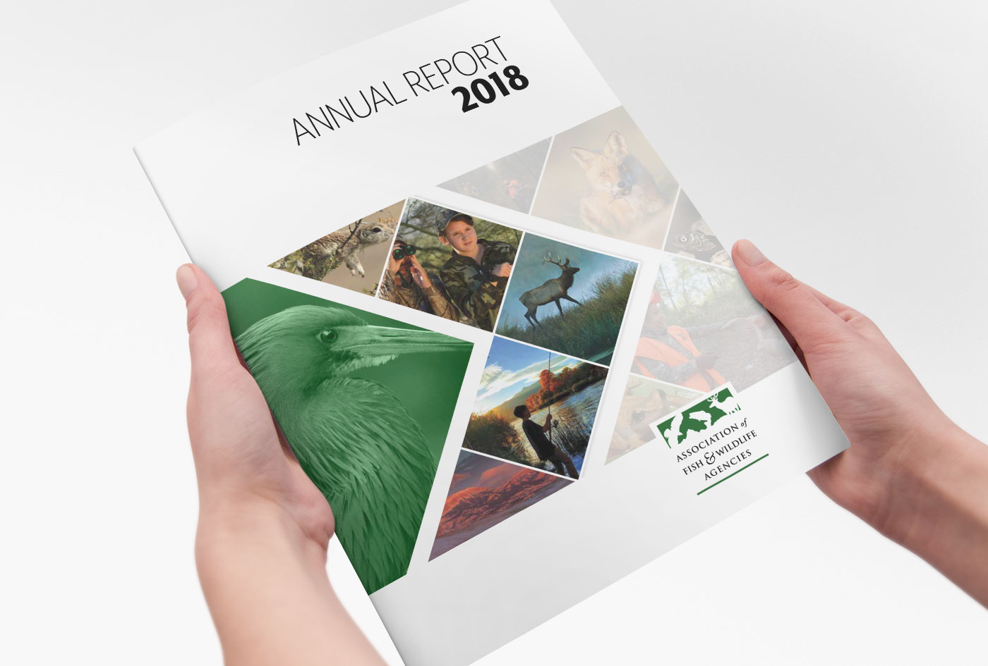 AFWA 2018 Annual Report